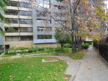 Imagen 29
