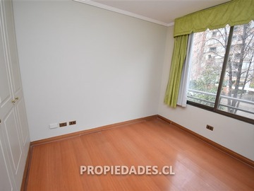 Imagen 11
