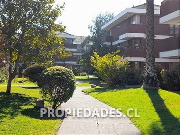 Imagen 11