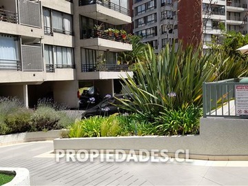 Imagen 10