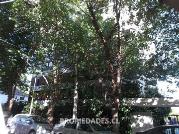 Imagen 6