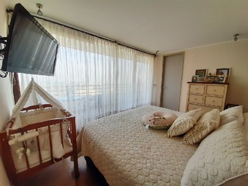 Imagen 5
