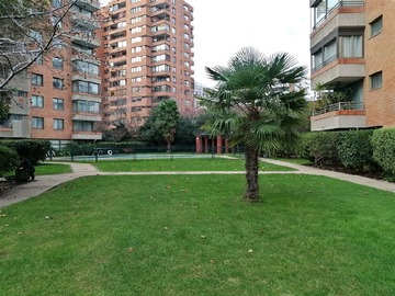 Imagen 11