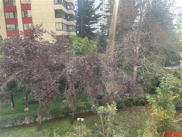 Arriendo Mensual / Departamento / Las Condes