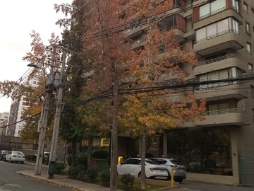 Arriendo Mensual / Departamento / Las Condes