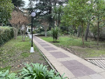 Imagen 36