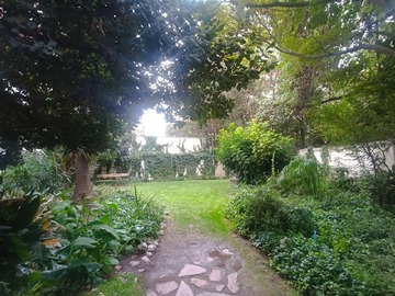 Imagen 29
