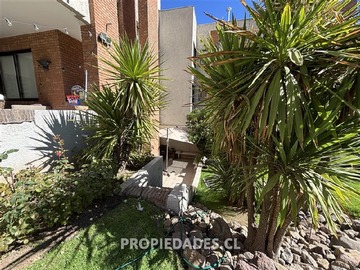 Imagen 10