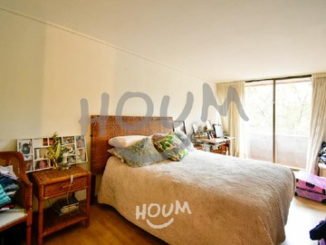 Imagen 19