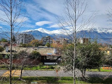 Imagen 19