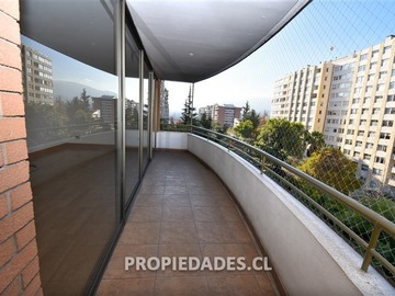 Imagen 5