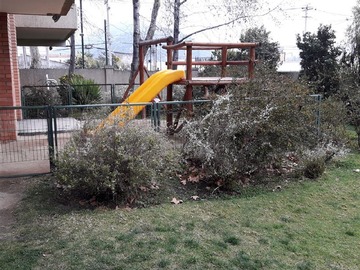 Imagen 3