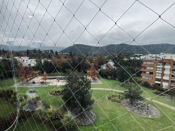 Imagen 5