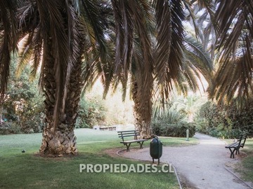 Imagen 18