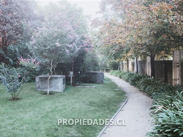 Imagen 22
