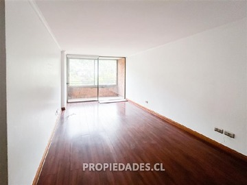 Imagen 11