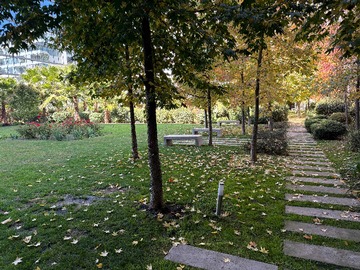 Imagen 12
