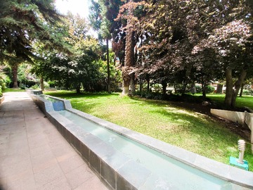 Imagen 16