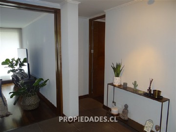 Imagen 6