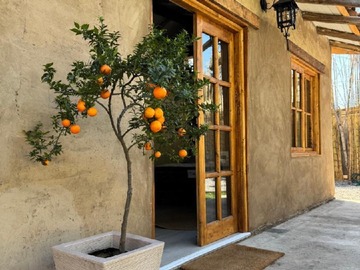 Arriendo Mensual / Departamento / Machalí