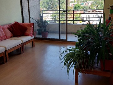 Arriendo Mensual / Departamento / Macul