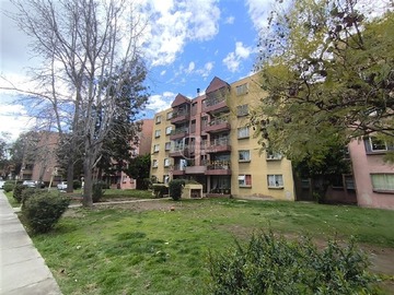 Imagen 14