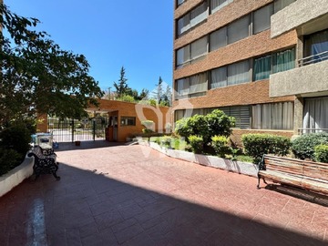 Imagen 6