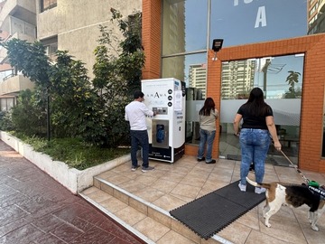Imagen 11