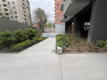 Imagen 11