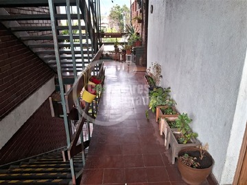 Imagen 23