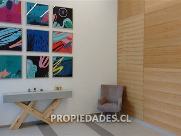 Imagen 12