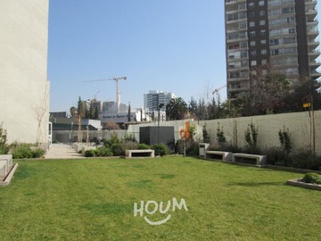 Imagen 15