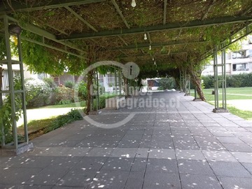 Imagen 10