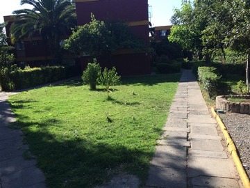 Arriendo Mensual / Departamento / Macul