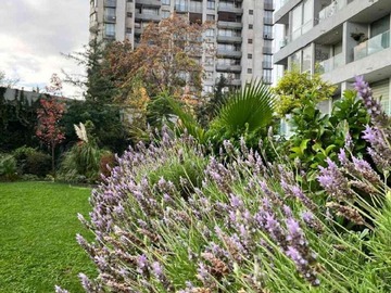 Imagen 8