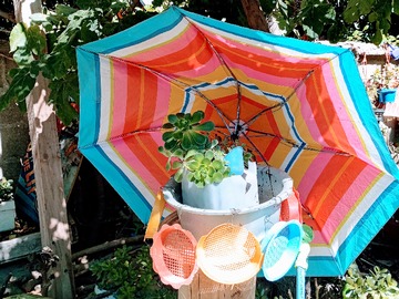 Arriendo Mensual / Departamento / Macul