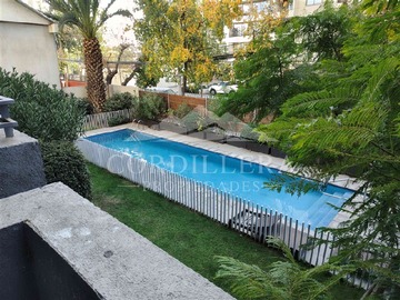 Imagen 11