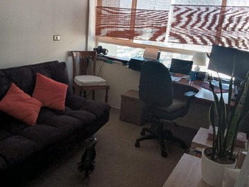 Arriendo Mensual / Departamento / Macul