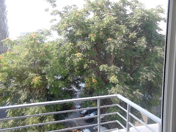 Imagen 6
