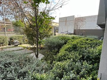 Imagen 6
