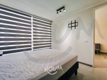 Imagen 11