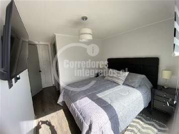 Imagen 6