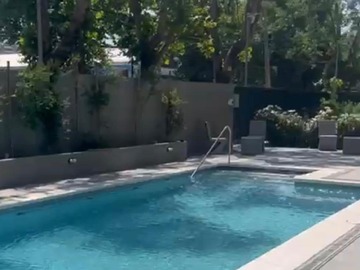 Arriendo Mensual / Departamento / Macul