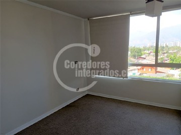 Imagen 7