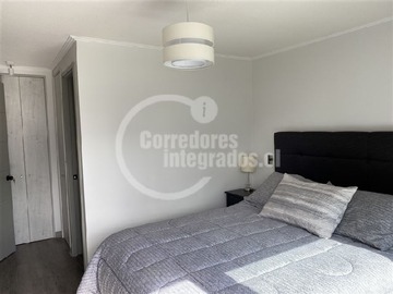 Imagen 7