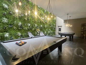 Imagen 11