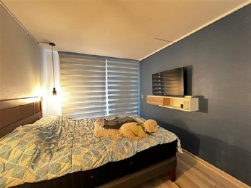 Imagen 6