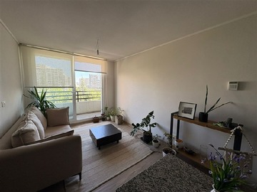 Arriendo Mensual / Departamento / Macul