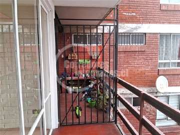 Imagen 5