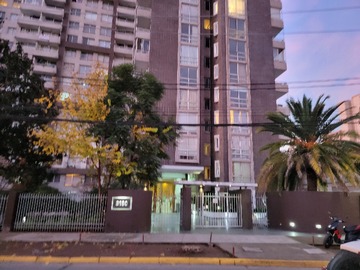Imagen 6